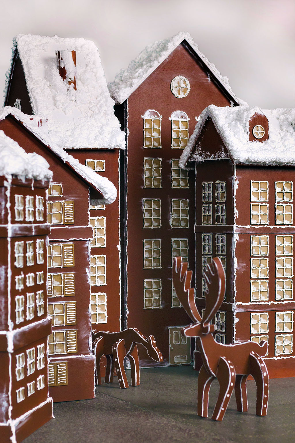 casute-recuzita-lemnivor (4)