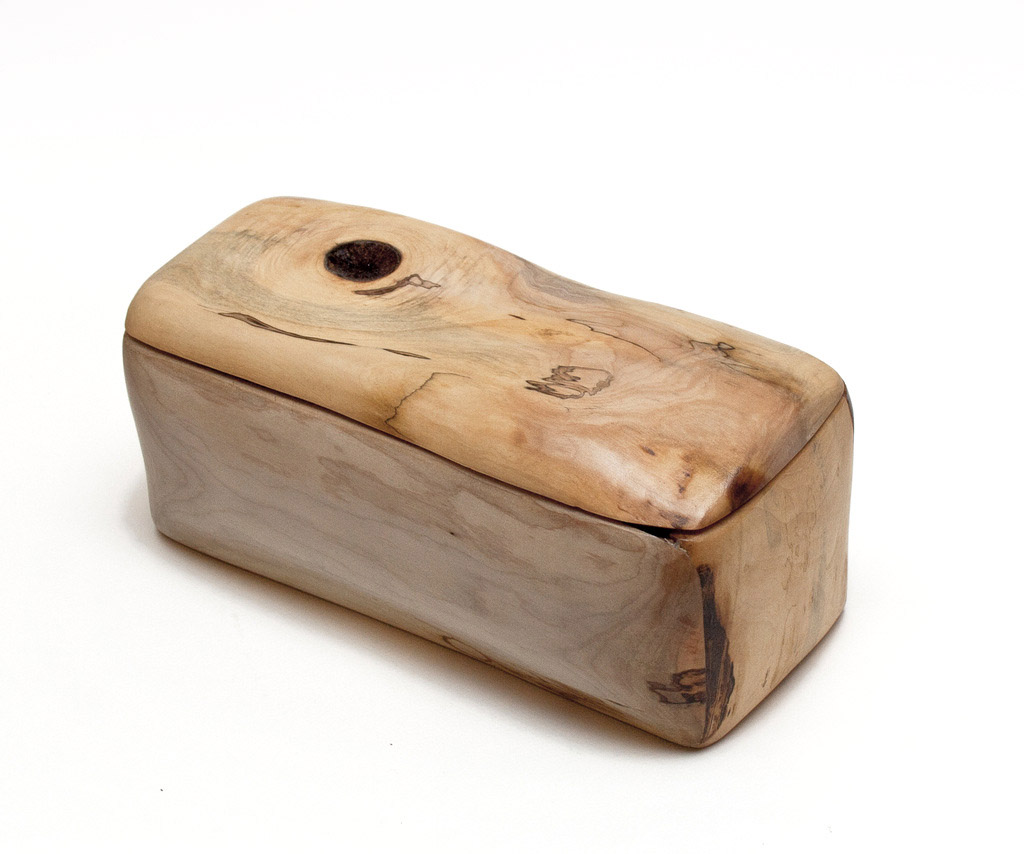 cutie1113-ulm-lemnivor1