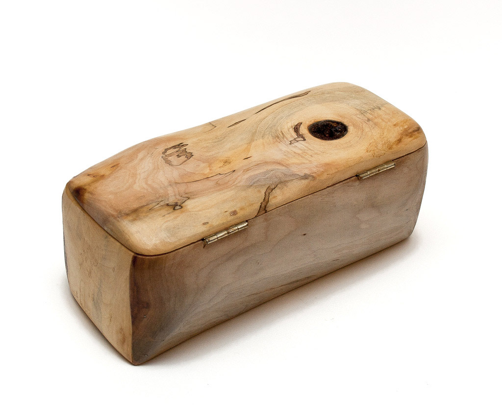 cutie1113-ulm-lemnivor2