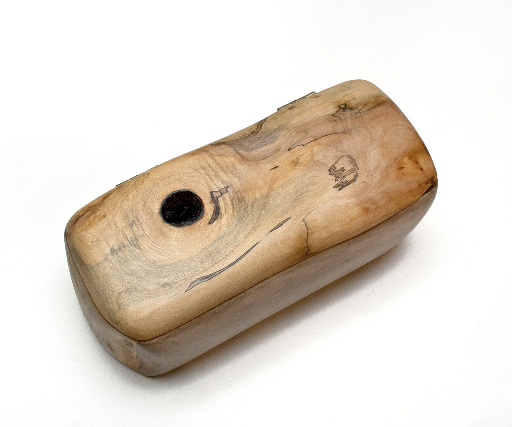 cutie1113-ulm-lemnivor3