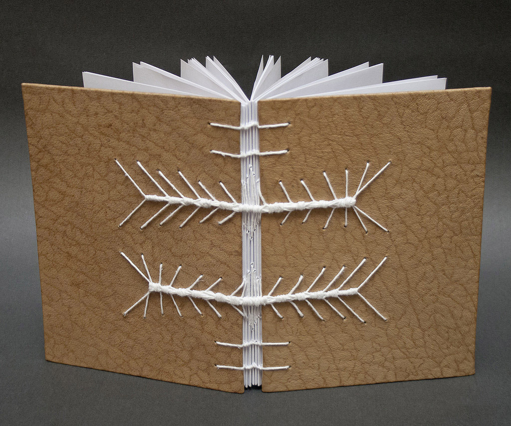 agenda-piele-lemnivor (2)