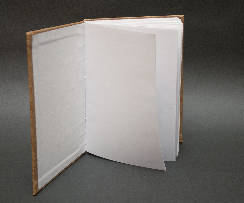 agenda-piele-lemnivor (3)