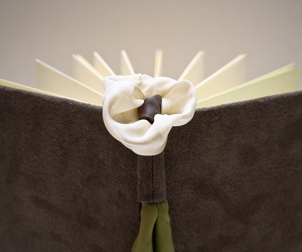 agenda-piele-lemnivor (4)