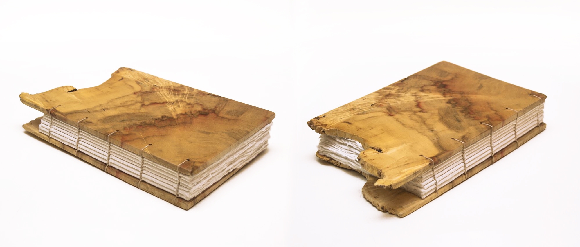 jurnale-lemnivor (1)