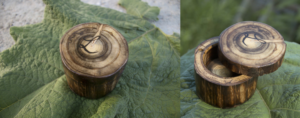 cutiute-lemnivor (3)