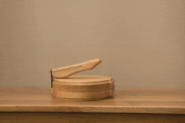 appletortilla-lemnivor